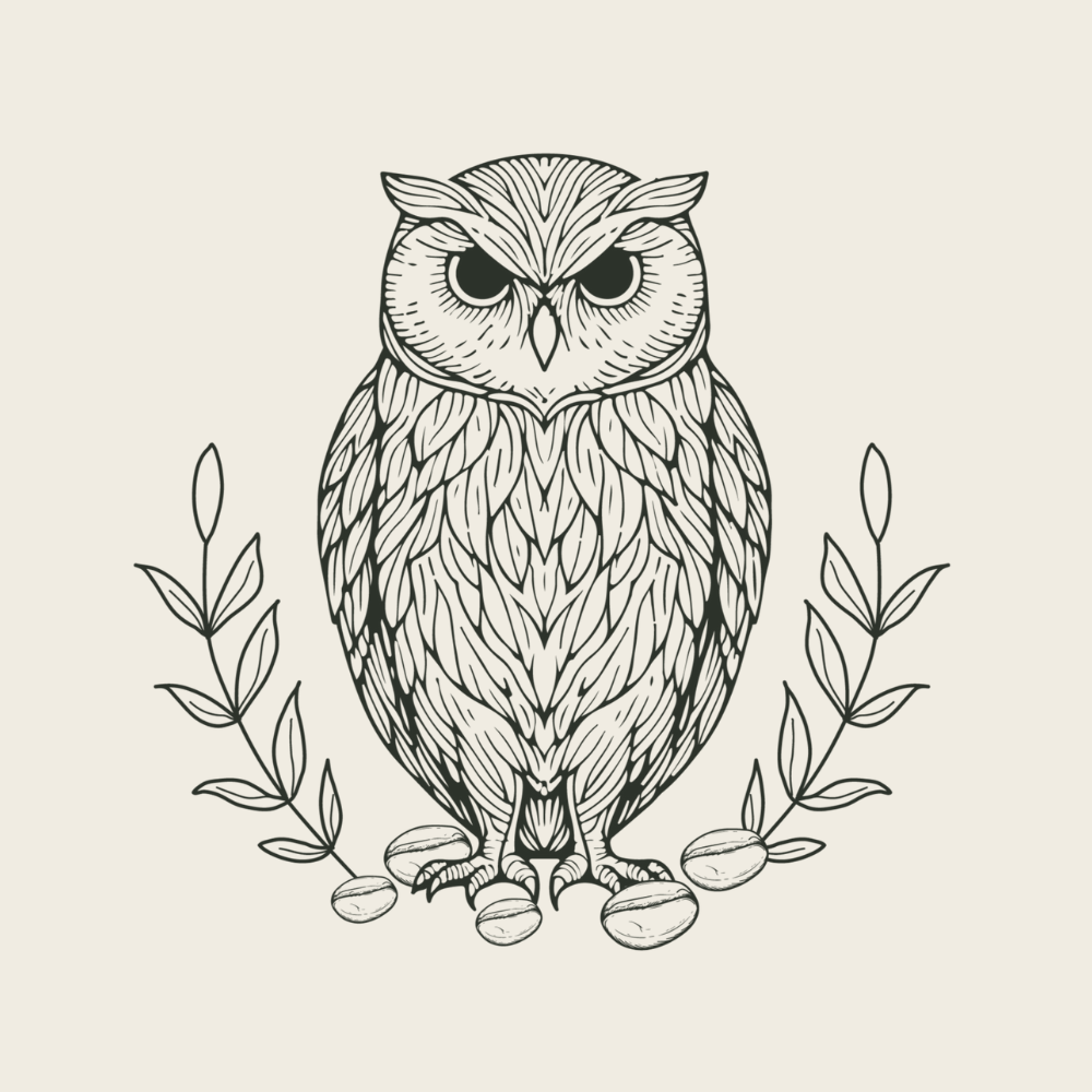 Noctua Coffee Roasters